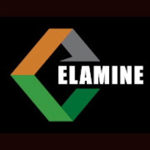 Logo Ets Elamine